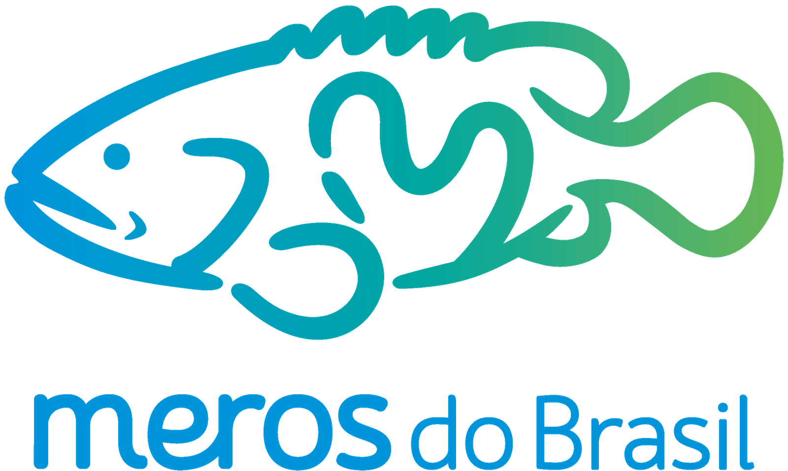 Meros do Brasil